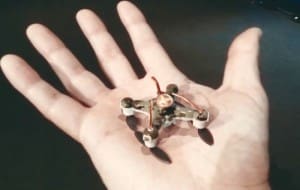 Viral – Slaughterbots, Film Pendek Mengerikan Tentang Robot Otonom yang Mampu Membantai Manusia