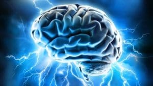 Bagaimana Cara Neurosains mengubah Mindset Manusia?