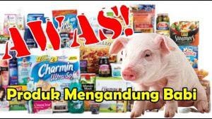 Fact or Hoax : Kode E pada Produk Tertentu Terindikasi Mengandung Babi