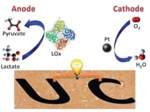 Ketika Tato (Tattoos Biofuel Cells) dapat Dipakai Untuk “Mengubah” Keringat menjadi Listrik