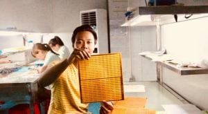 Wawancara Eksklusif dengan Irmandy Wicaksono – Lulusan S3 MIT dengan Full Research Scholarship