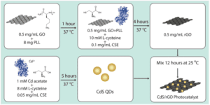 Membuat Hydrogen Fuel Pada Temperatur dan Tekanan Ruang Dengan Single Enzyme Biomineralization
