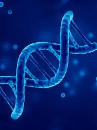 DNA