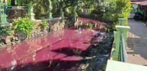 Dibalik Cantiknya Warna Batik, Terdapat Pencemaran Limbah Timbal di Aliran Sungai Kota Pekalongan