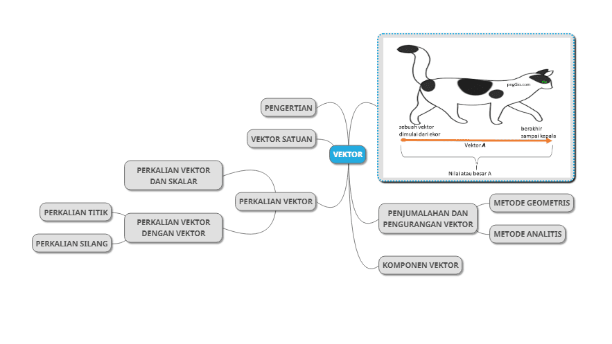 Mind map vektor