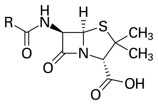 Struktur Penisilin