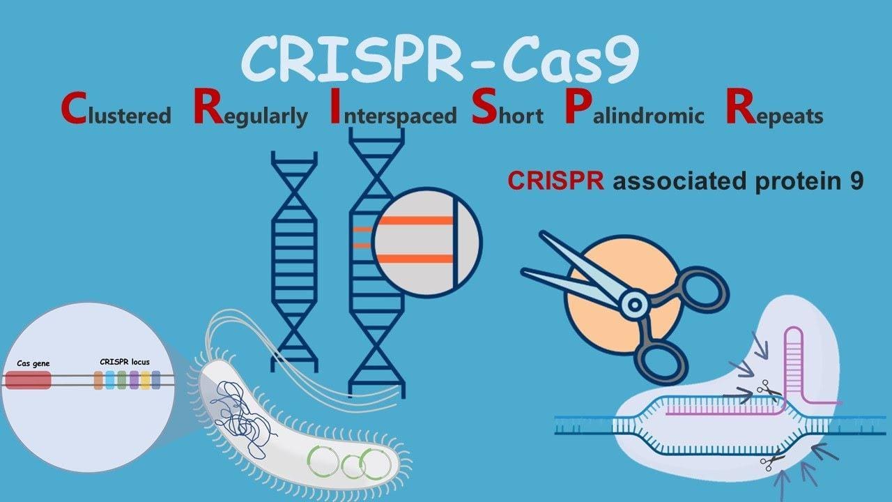 CRISPR