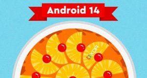 Android 14 Preview