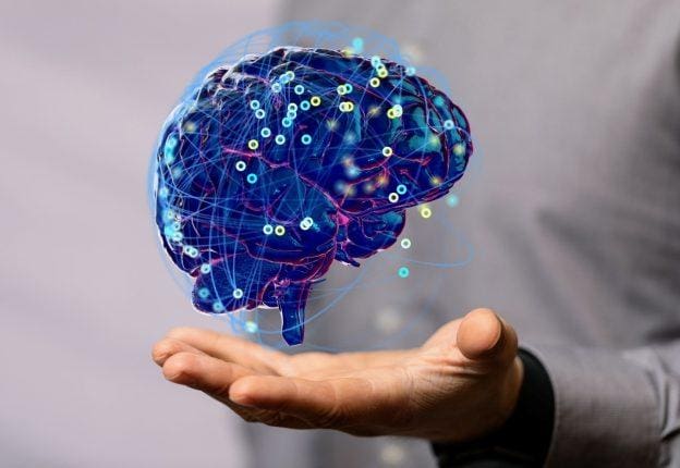 A biocomputer powered by human brain cells, known as "organoid intelligence," could be developed within our lifetime