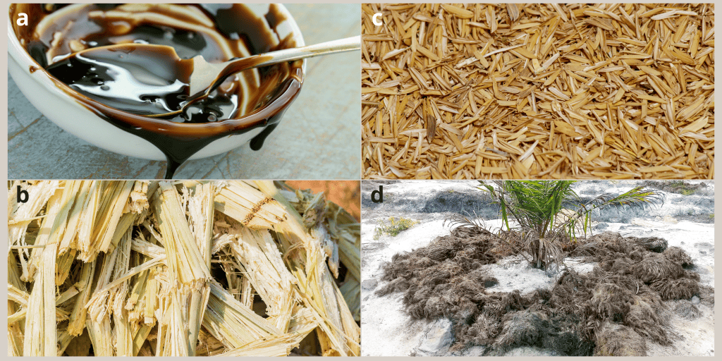 Biomassa sebagai bahan baku pembuatan bioetanol