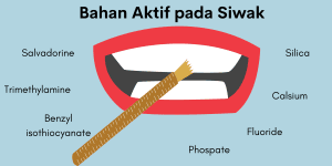 Siwak: Sunnah Rasulullah yang Bermanfaat untuk Kesehatan Gigi dan Mulut