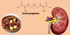 Menguak fenomena “Jengkolan” di Indonesia