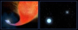 Bintang-bintang Vampir: Rahasia Keabadian Blue Straggler yang Terkuak Lewat Teleskop Hubble