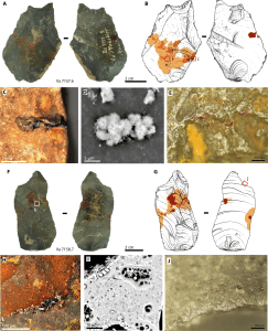 lem neanderthal