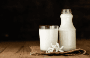 Menggali Fakta: Apakah Susu Sapi Penting dalam Diet Manusia?