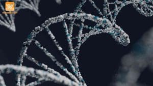Membongkar Misteri Touch DNA: Inovasi dalam Penyelidikan Forensik