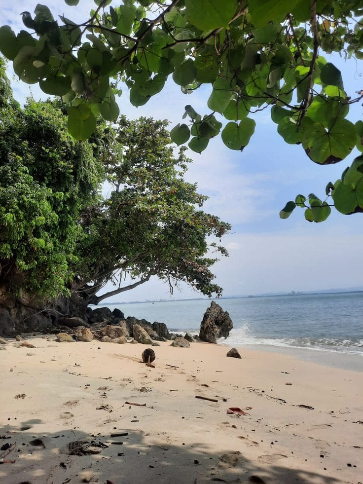 Pasir pantai