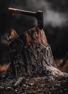 deforestasi