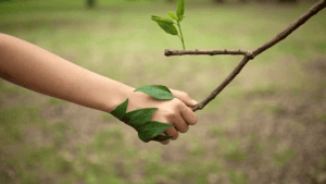 ecotherapy