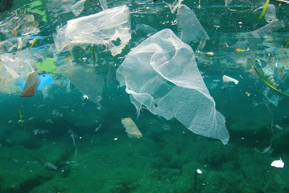 sampah plastik
