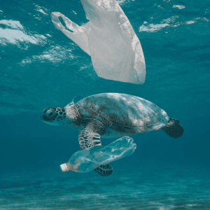 polusi plastik