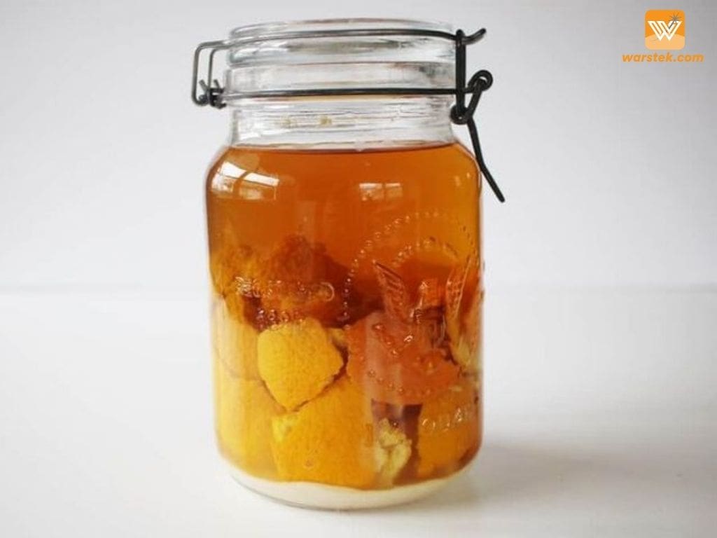 eco-enzyme dari limbah makanan