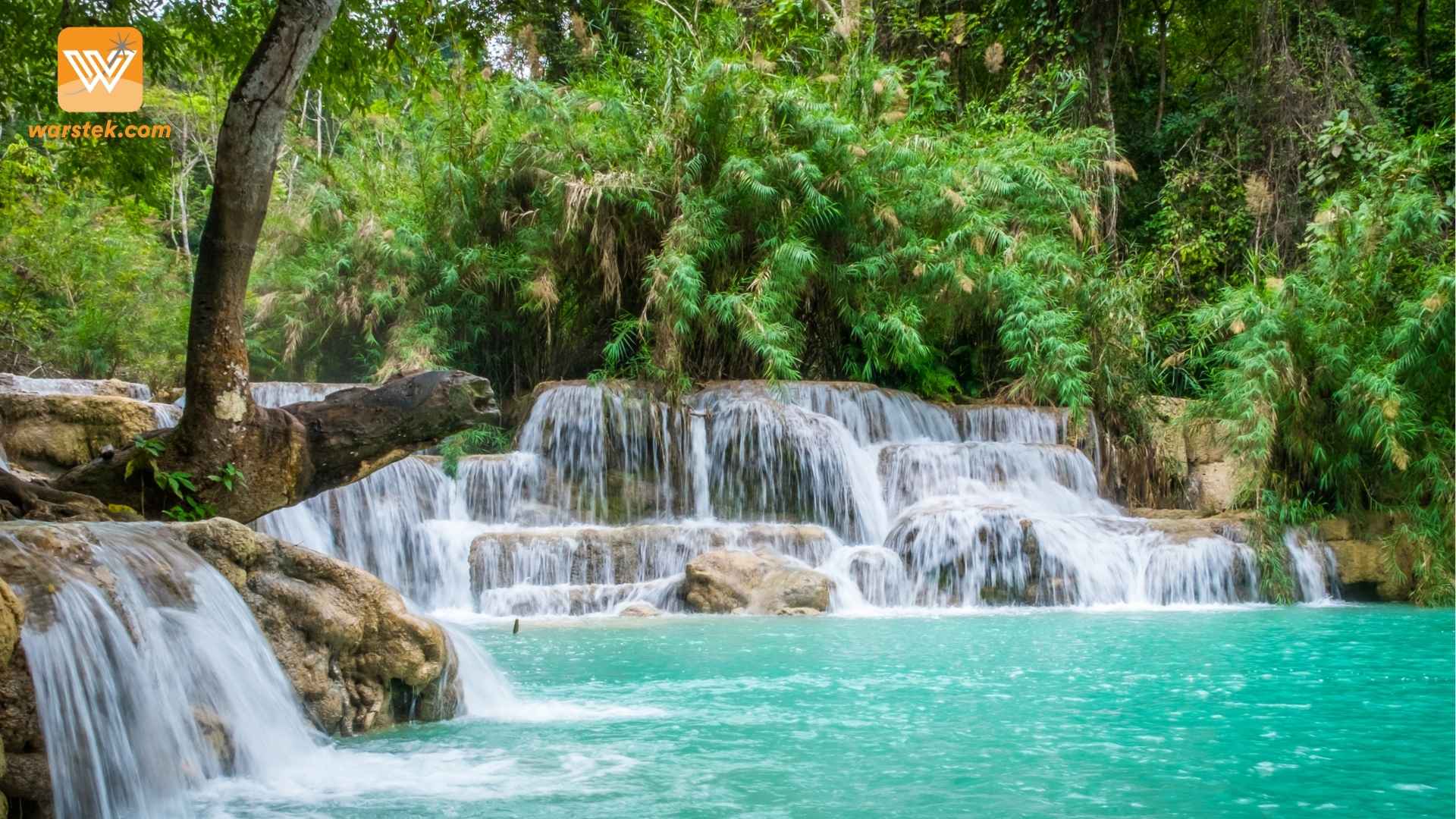 spring water