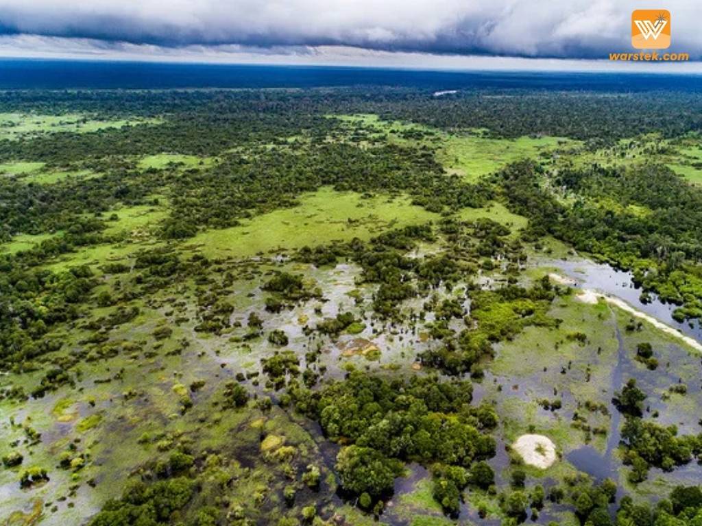 Peatland