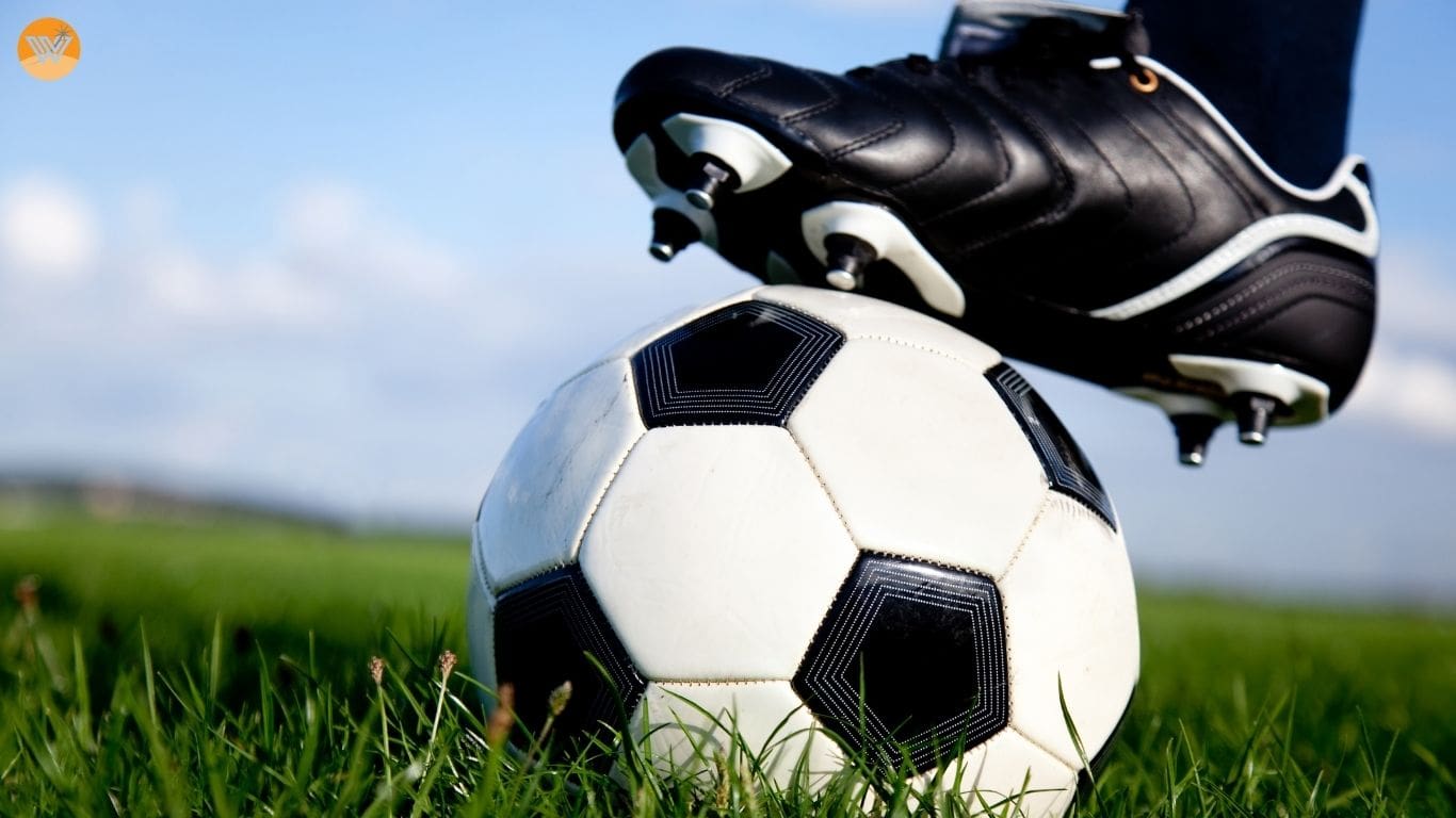 sepak bola