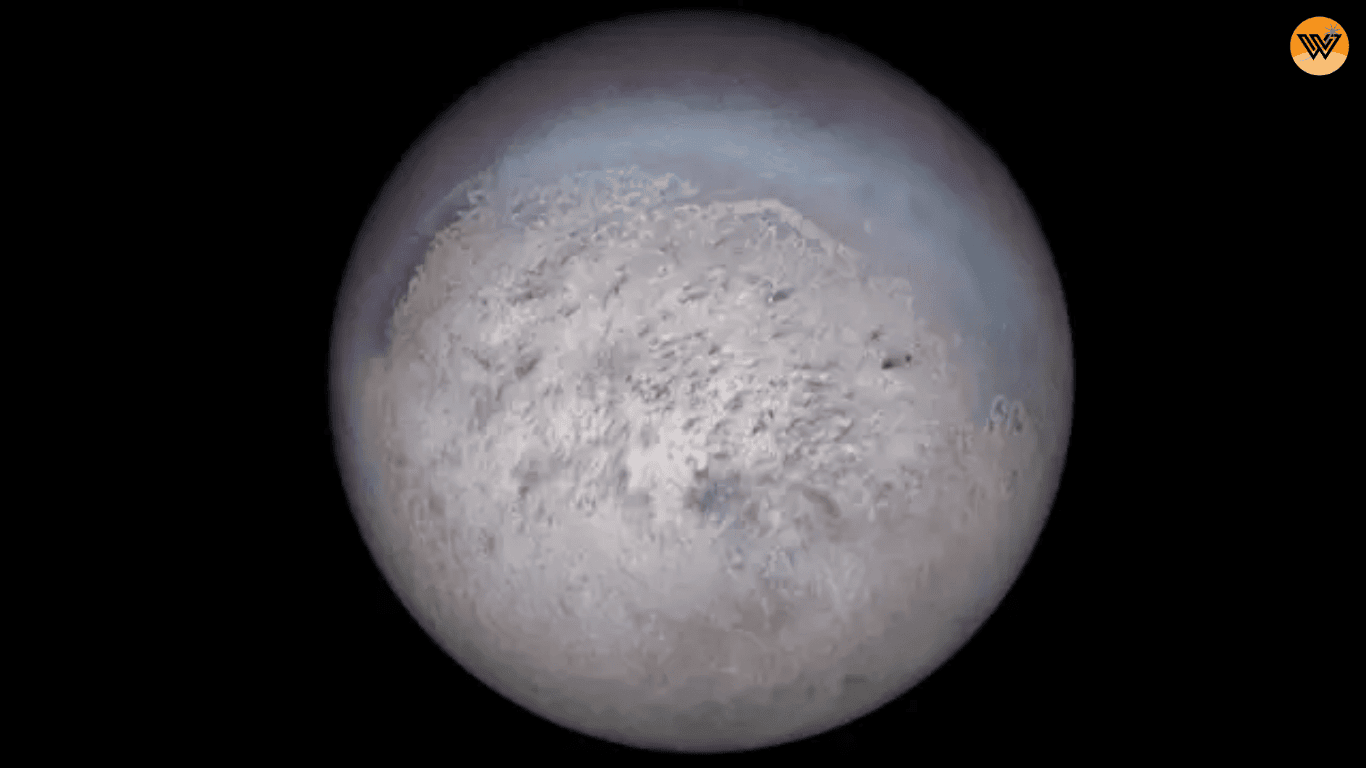 triton